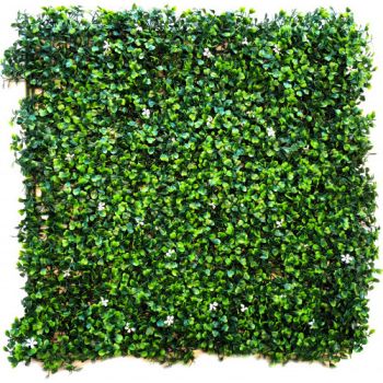 Декоративна зелена стена Жасмин