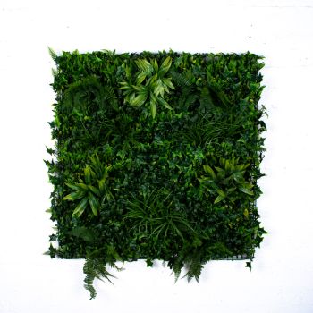 Декоративна зелена стена Бръшлян и папрат