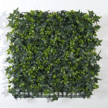 Декоративна зелена стена Бръшлян с детелина