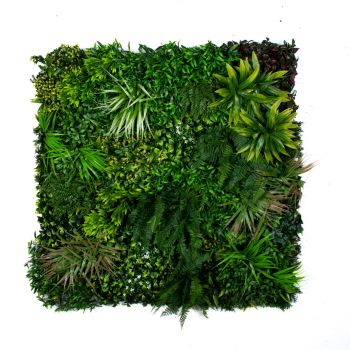 Декоративна зелена стена Папрати Микс
