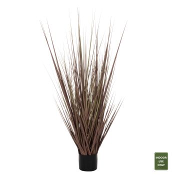 Саксийно растение Трева кафява Н120 см