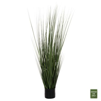 Саксийно растение Трева зелена Н120 см