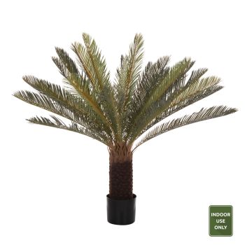 Саксийна класолистна палма Н94 см
