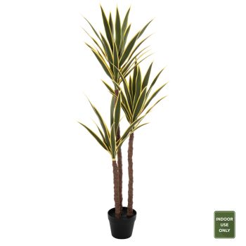 Саксийна палма Н140 см