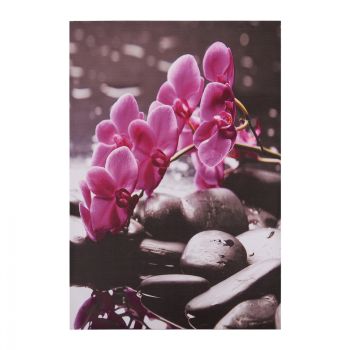 Картина Розова орхидея