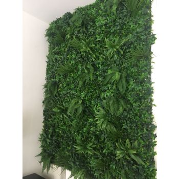 Декоративна зелена стена